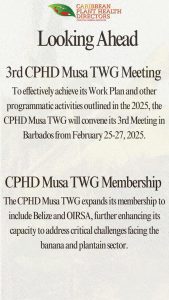 CPHD Musa TWG News 202501