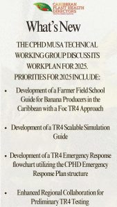 CPHD Musa TWG Workplan 2025